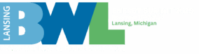 BWL 2020